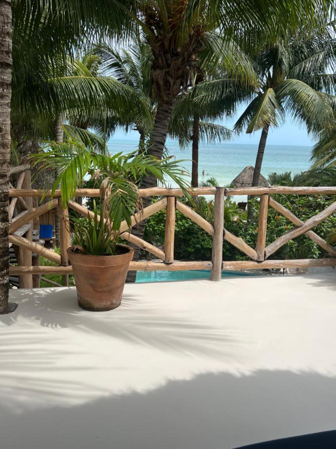 Isla HolboxCasa Tom Tom - Adults Only住宿加早餐旅馆 外观 照片