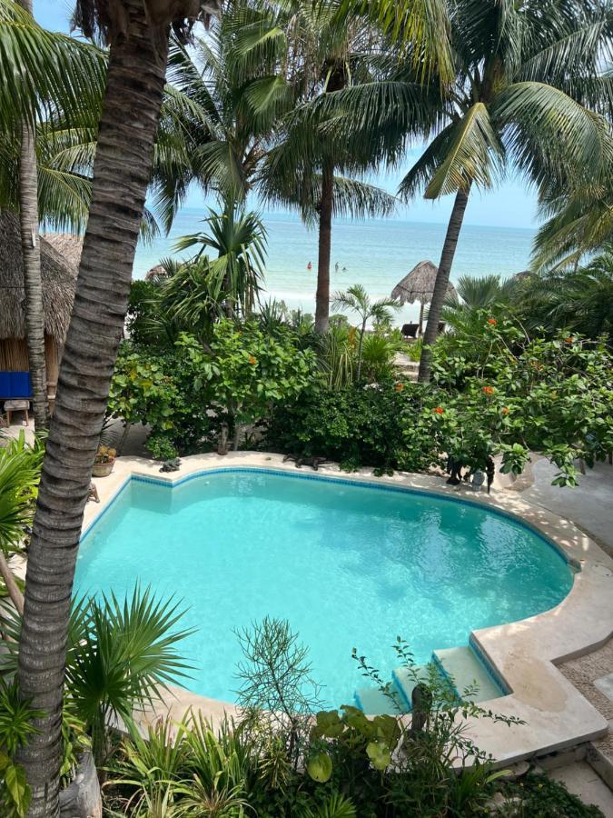 Isla HolboxCasa Tom Tom - Adults Only住宿加早餐旅馆 外观 照片