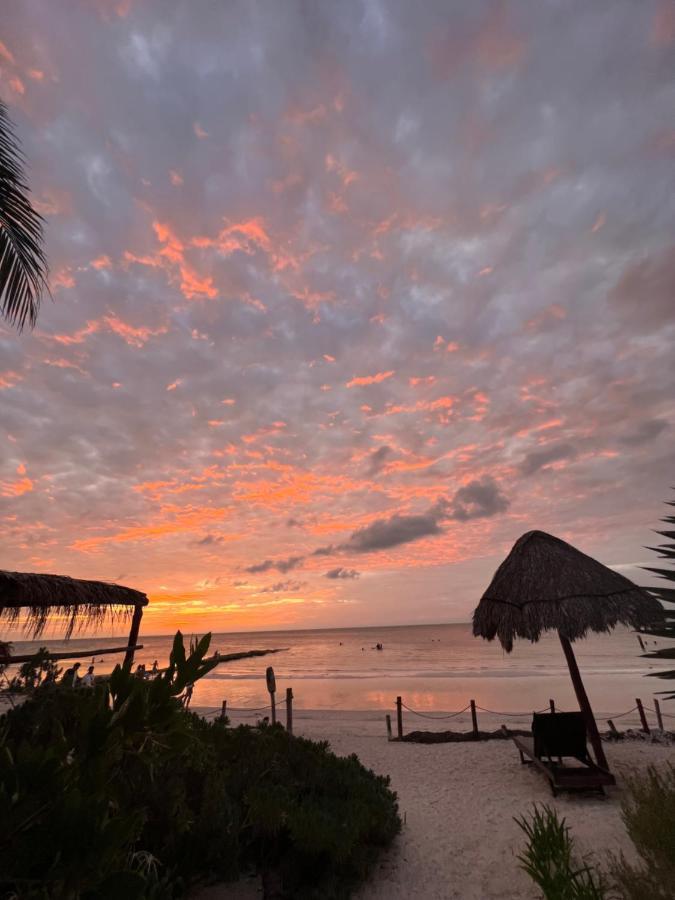 Isla HolboxCasa Tom Tom - Adults Only住宿加早餐旅馆 外观 照片