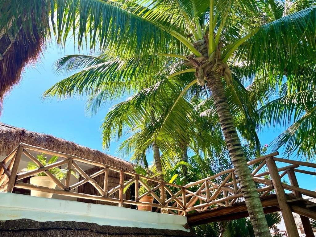 Isla HolboxCasa Tom Tom - Adults Only住宿加早餐旅馆 外观 照片