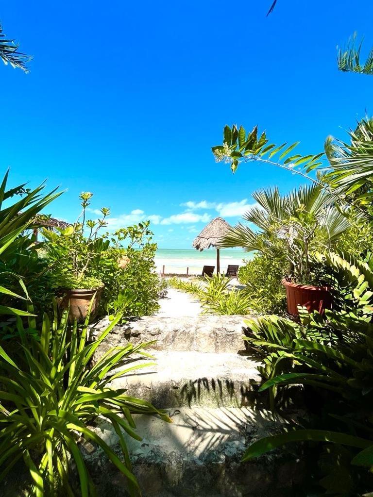 Isla HolboxCasa Tom Tom - Adults Only住宿加早餐旅馆 外观 照片