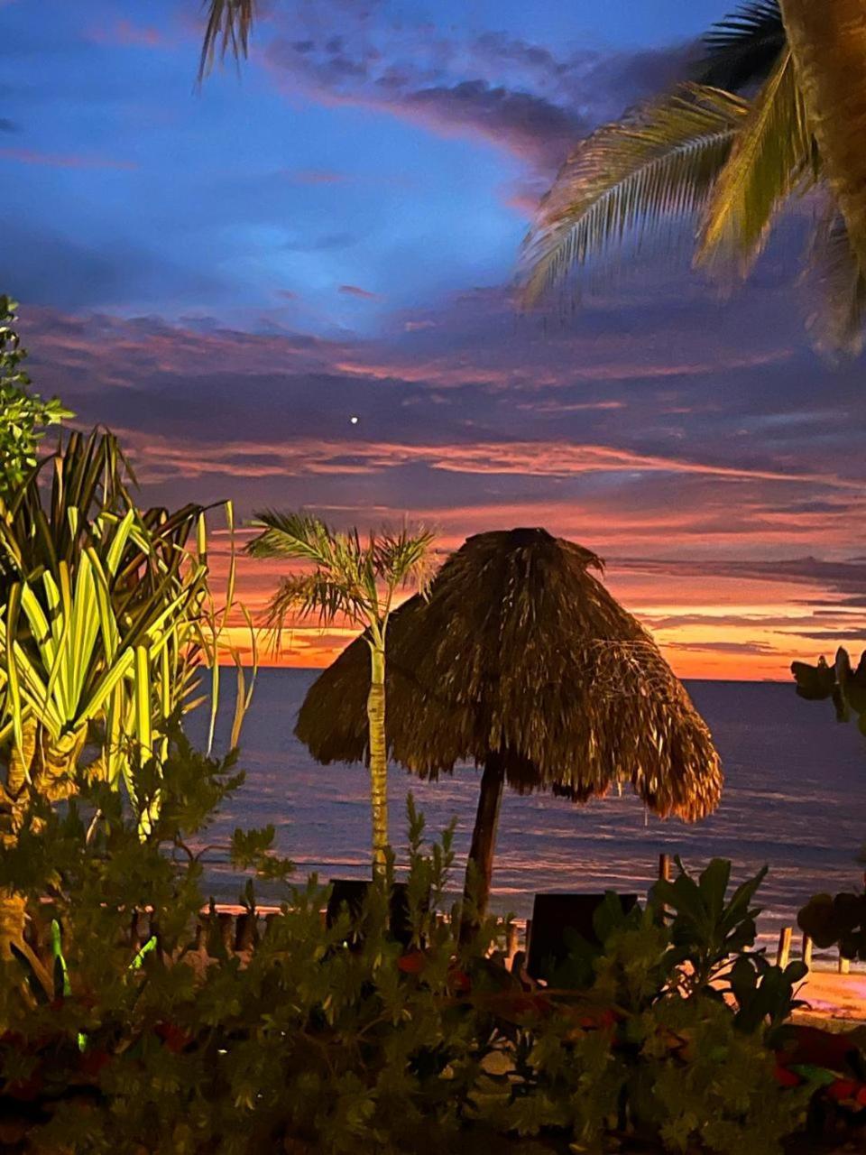 Isla HolboxCasa Tom Tom - Adults Only住宿加早餐旅馆 外观 照片