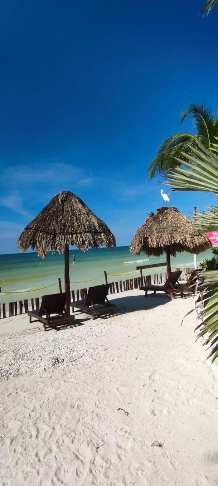 Isla HolboxCasa Tom Tom - Adults Only住宿加早餐旅馆 外观 照片