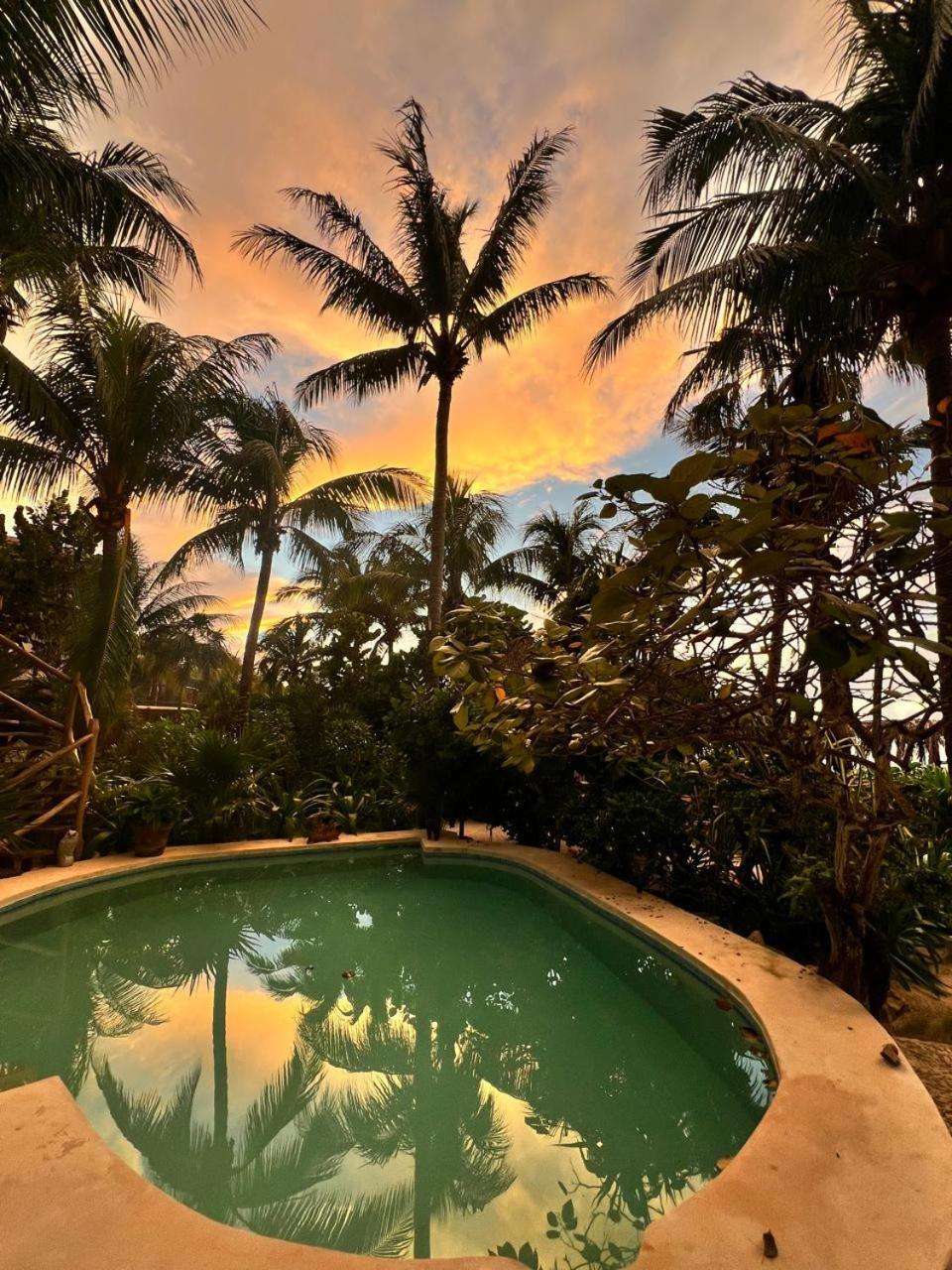 Isla HolboxCasa Tom Tom - Adults Only住宿加早餐旅馆 外观 照片