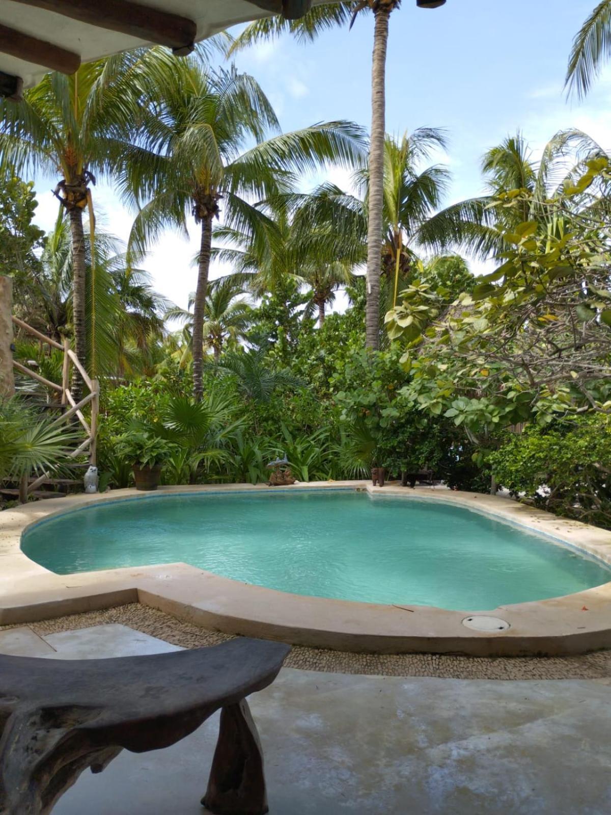 Isla HolboxCasa Tom Tom - Adults Only住宿加早餐旅馆 外观 照片